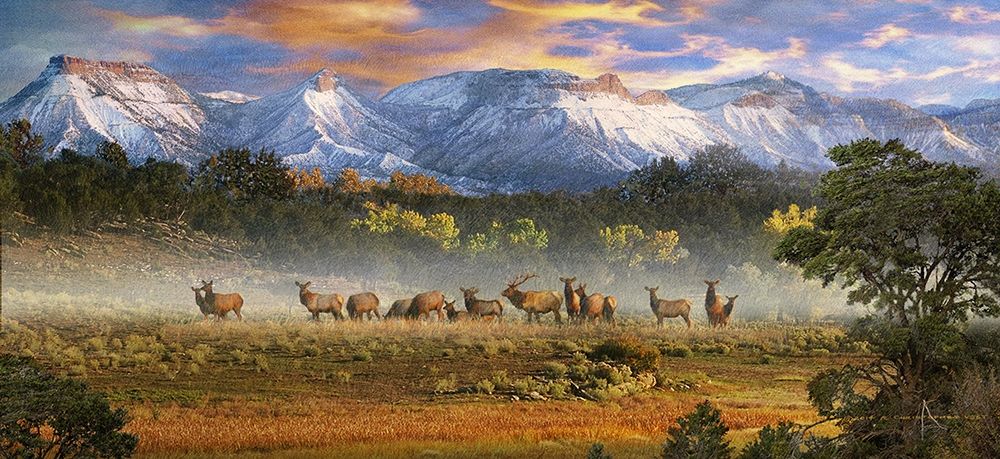 Mesa Verde Pano art print by Christopher Vest for $57.95 CAD