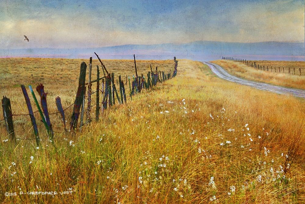 Quiet Road Out West art print by Christopher Vest for $57.95 CAD