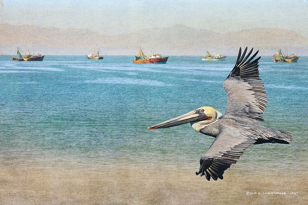 Open Ocean and Boats art print by Christopher Vest for $57.95 CAD