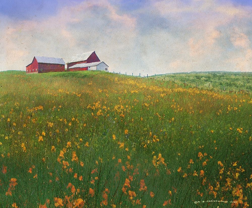 Meadow Farm Super Bloom art print by Christopher Vest for $57.95 CAD