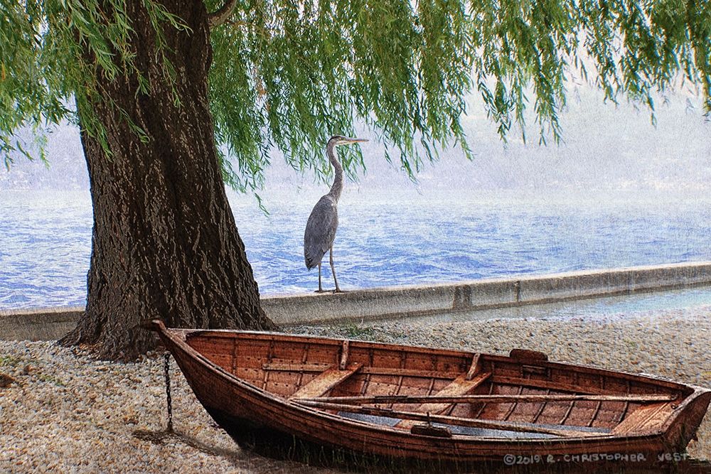 Willow Tree at Maggiori art print by Christopher Vest for $57.95 CAD