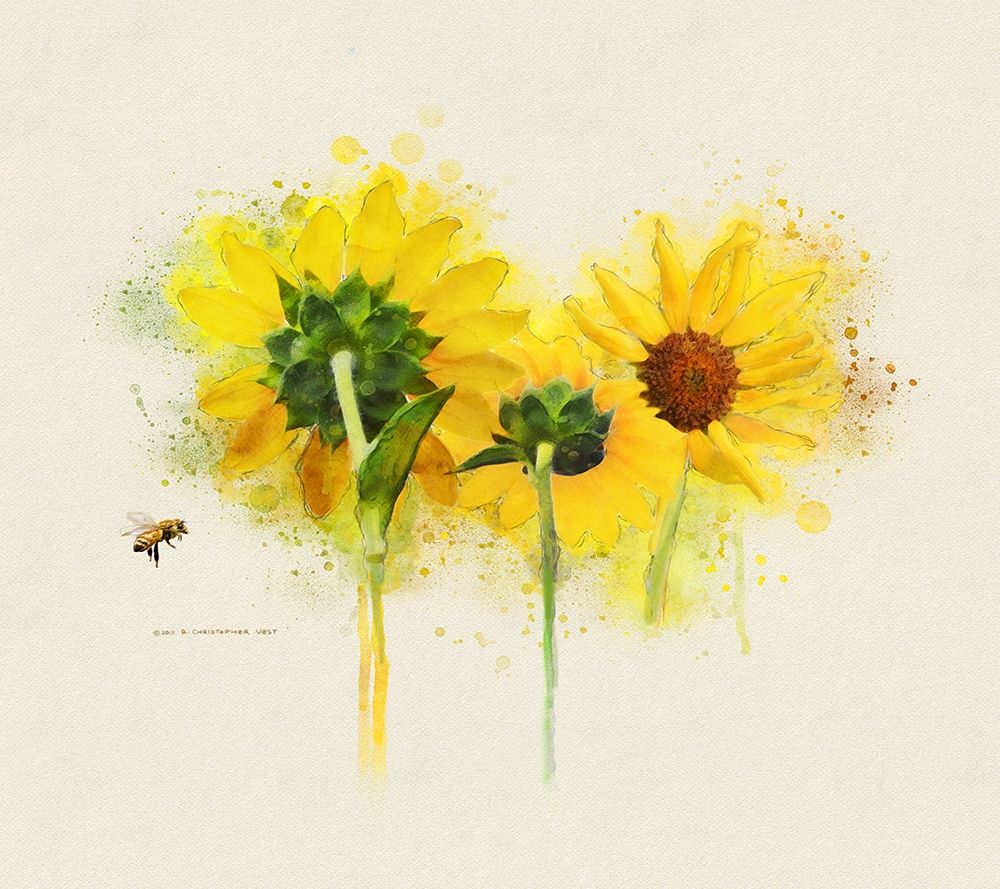 Three Sunflowers art print by Christopher Vest for $57.95 CAD