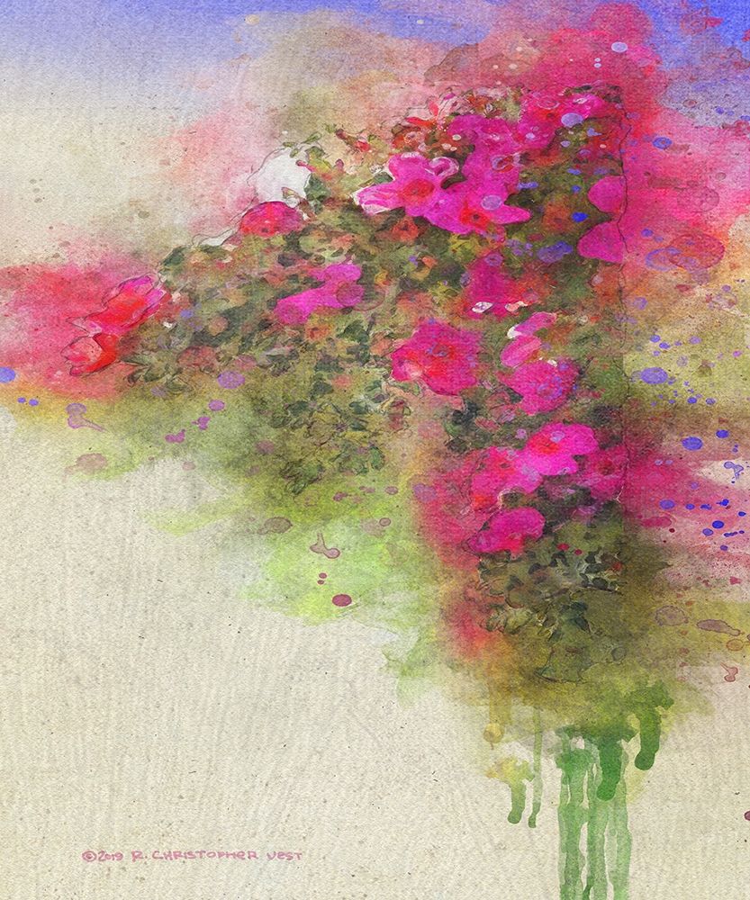 Cascade of Roses art print by Christopher Vest for $57.95 CAD