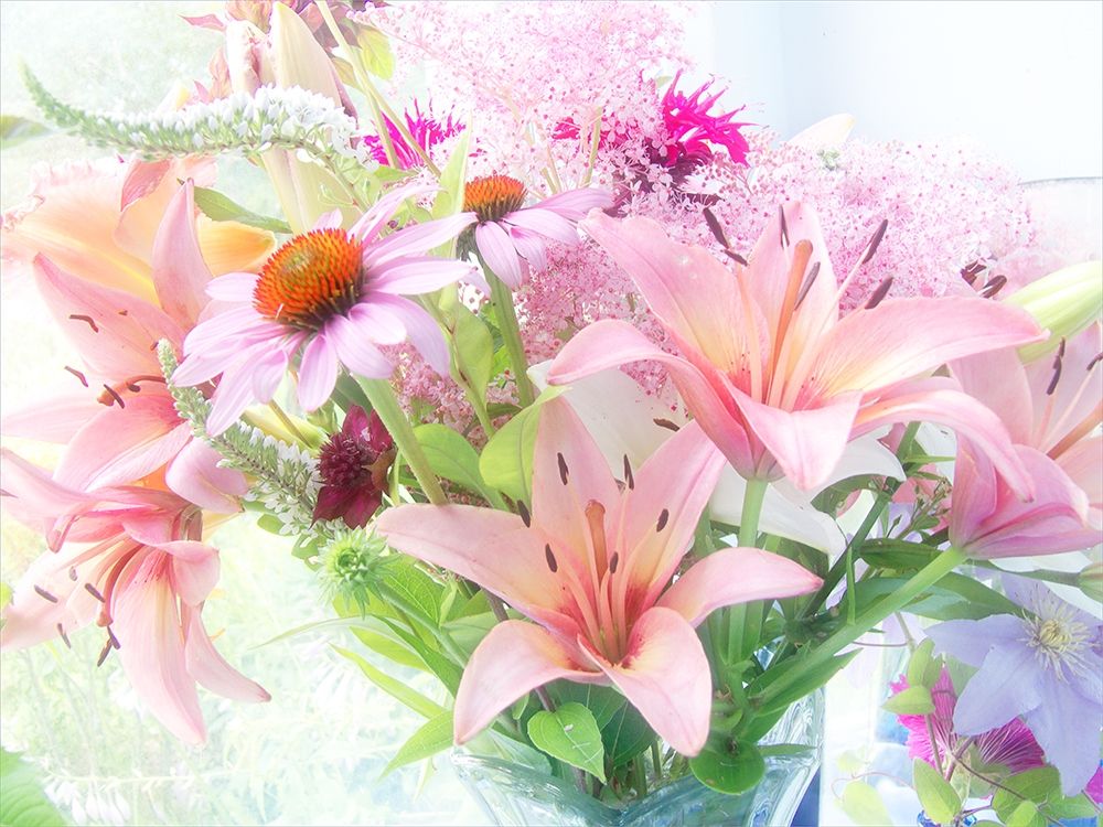 Pink Bouquet art print by Judy Stalus for $57.95 CAD