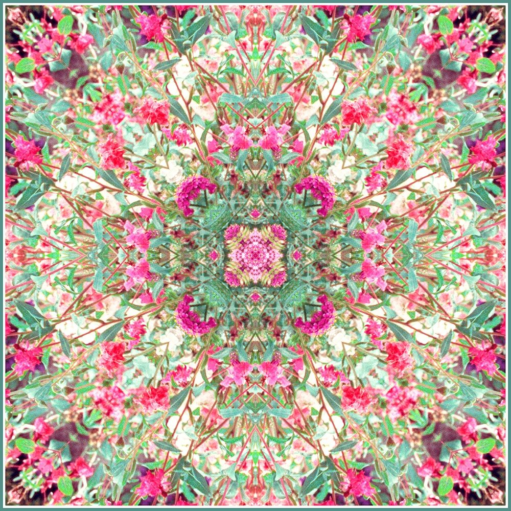 Mandala Azalea art print by Judy Stalus for $57.95 CAD
