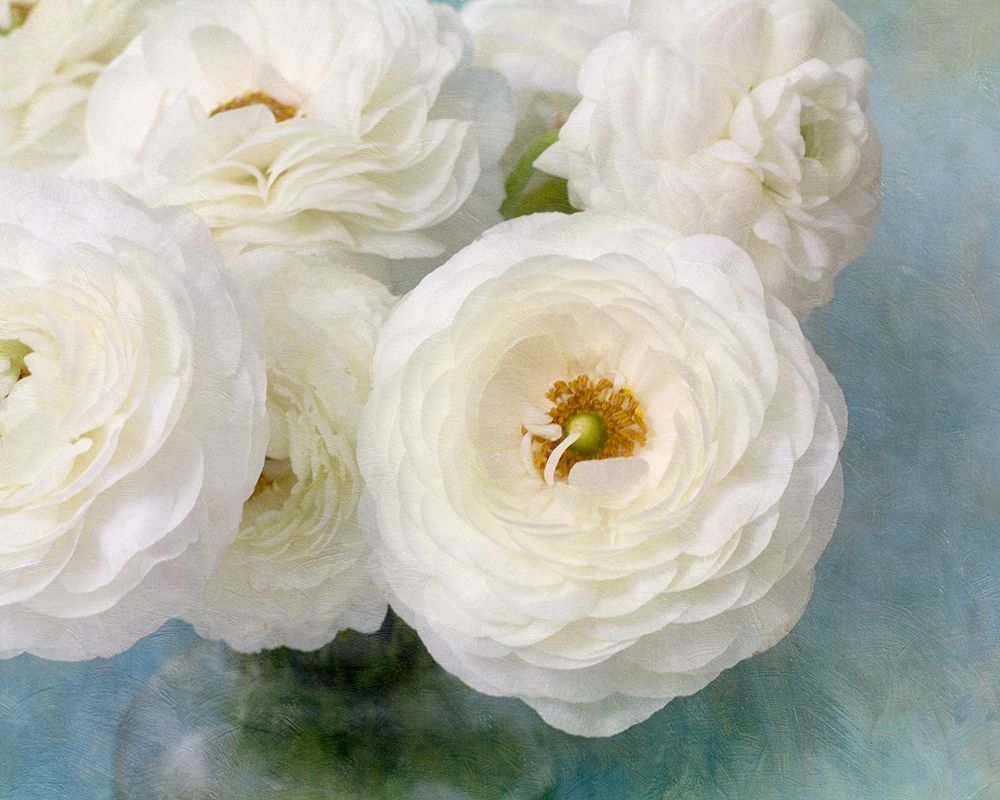 White Bouquet art print by Judy Stalus for $57.95 CAD