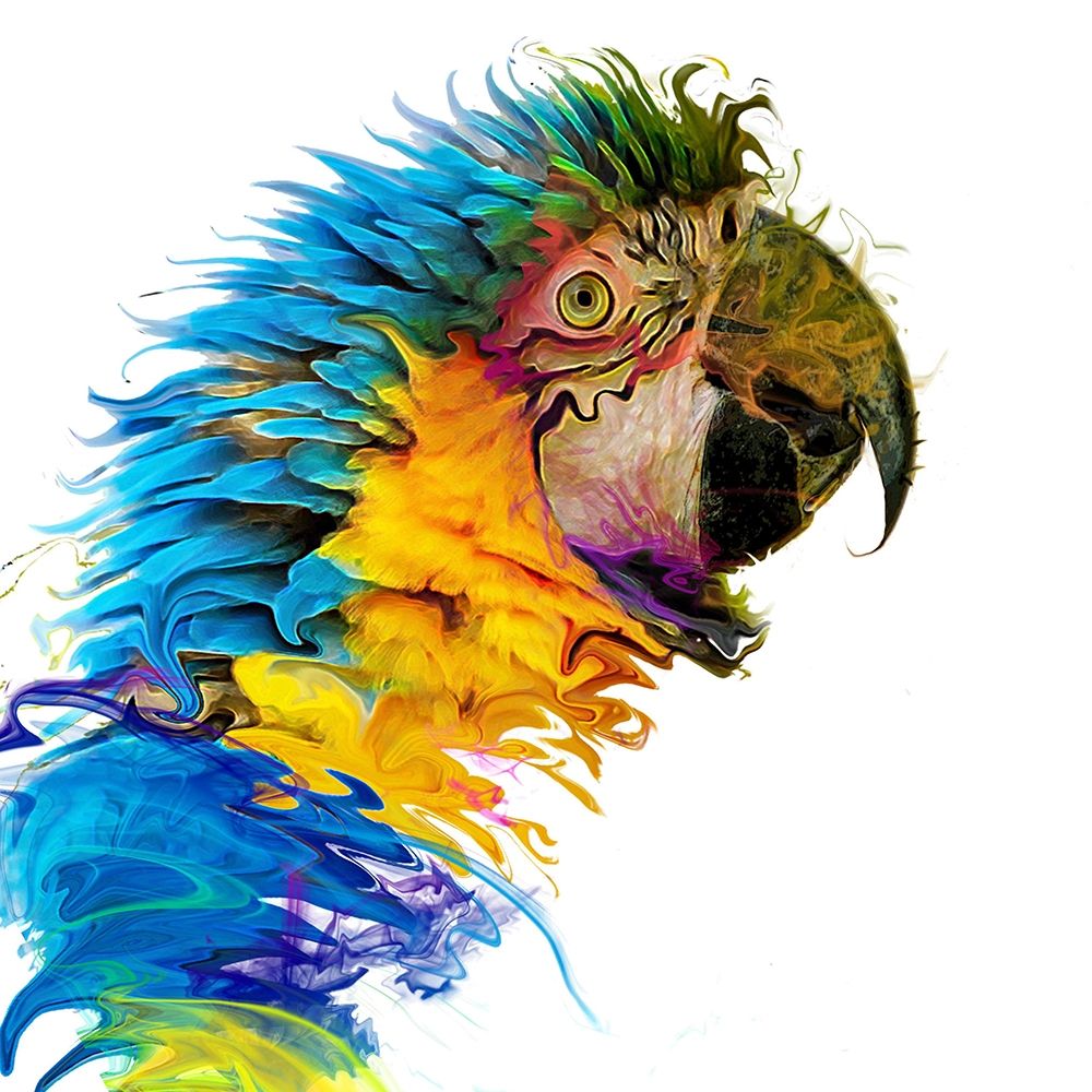 Parrot Paint art print by Karen Smith for $57.95 CAD