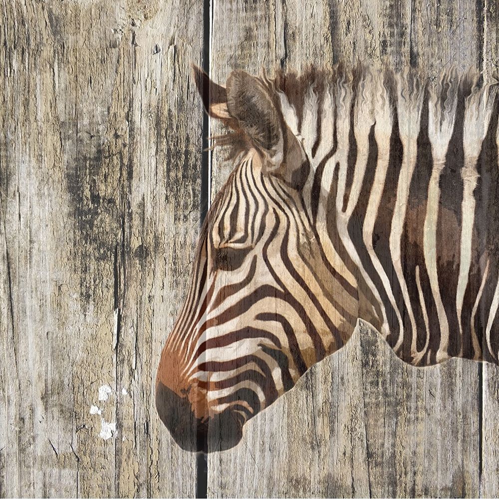 Wildheads Zebra art print by Karen Smith for $57.95 CAD