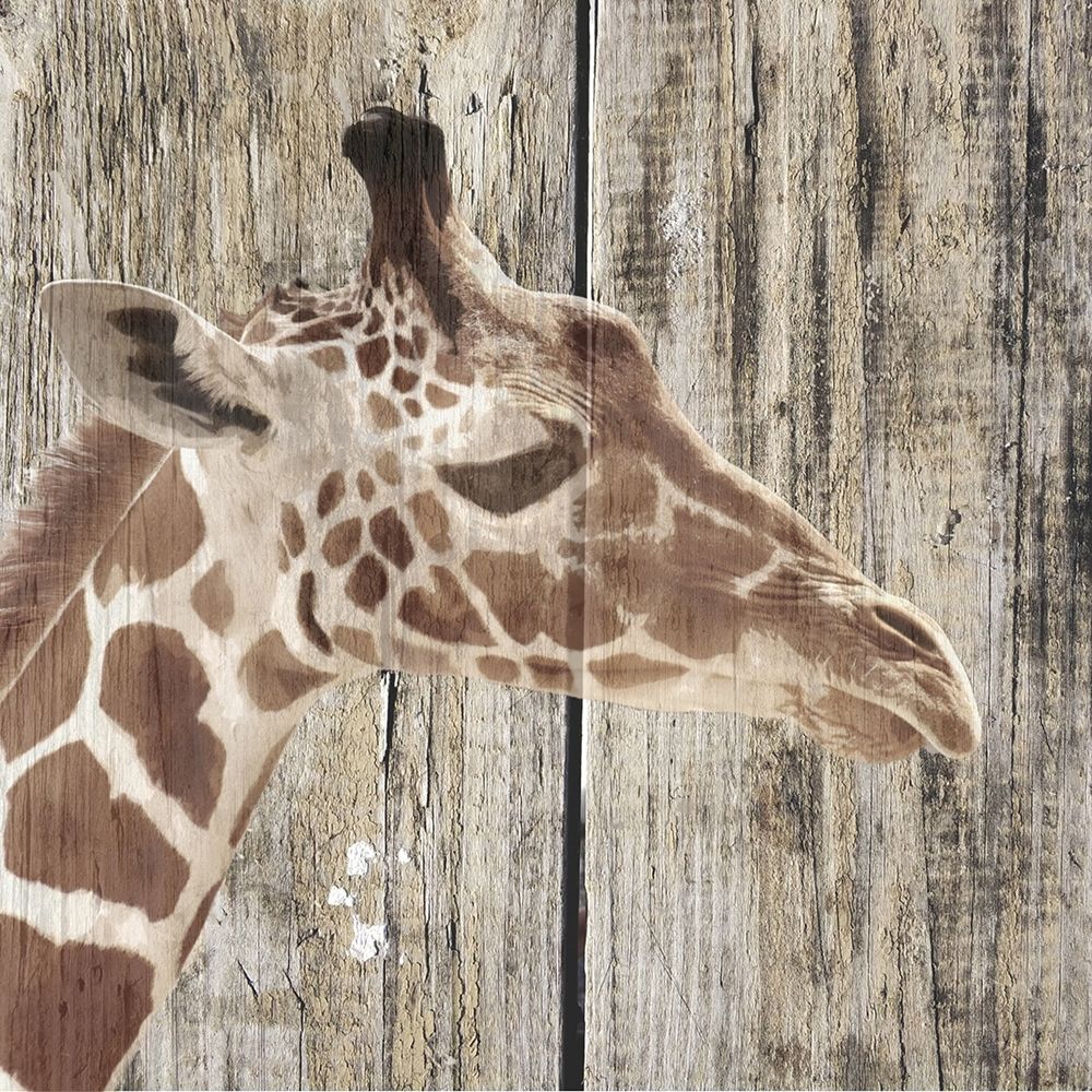 Wildheads Giraffe art print by Karen Smith for $57.95 CAD