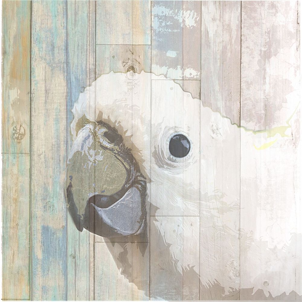 Bird Heads I art print by Karen Smith for $57.95 CAD
