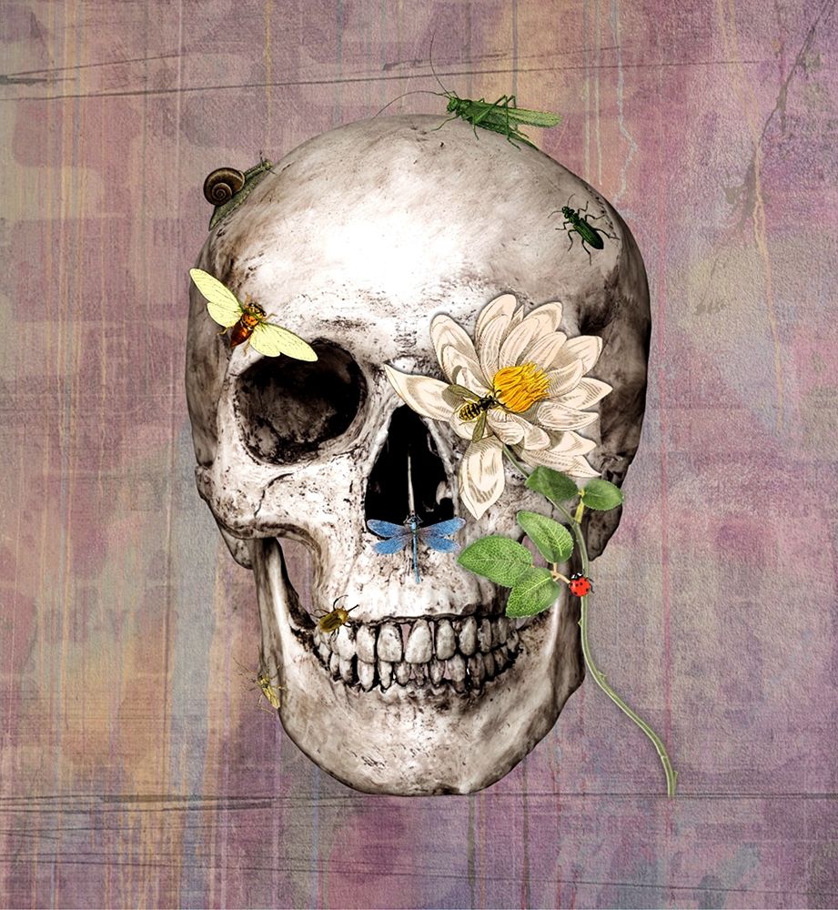 Bugskull art print by Karen Smith for $57.95 CAD