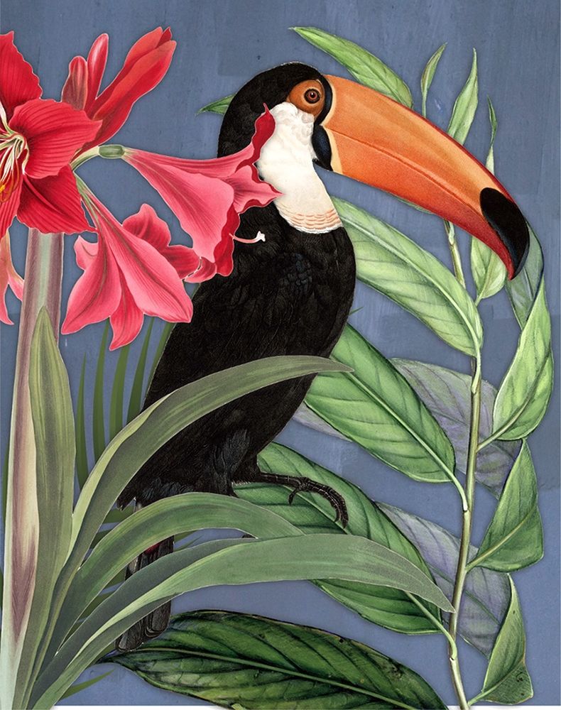 Toucan Jungle I art print by Karen Smith for $57.95 CAD