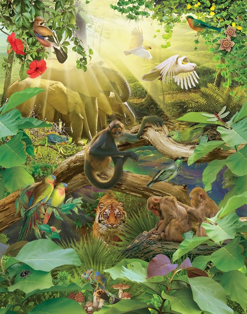 Jungle Mix I art print by Steve Hunziker for $57.95 CAD