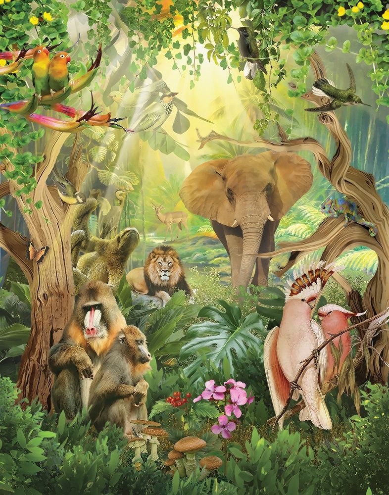 Jungle Mix III art print by Steve Hunziker for $57.95 CAD