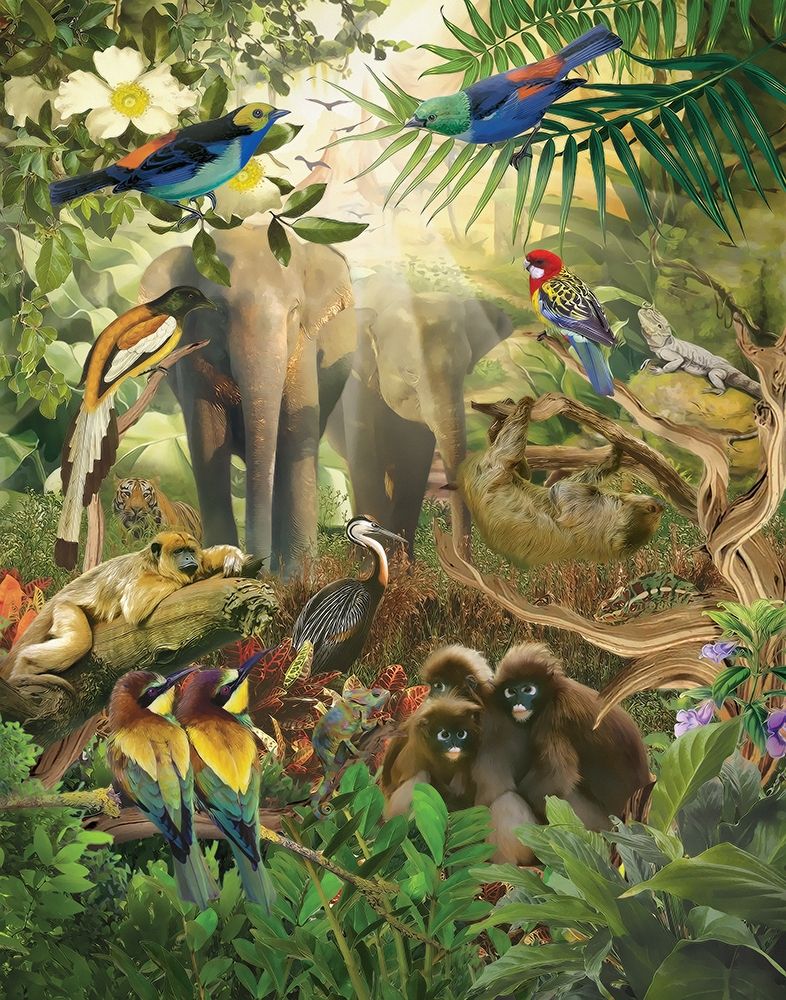 Jungle Mix IV art print by Steve Hunziker for $57.95 CAD