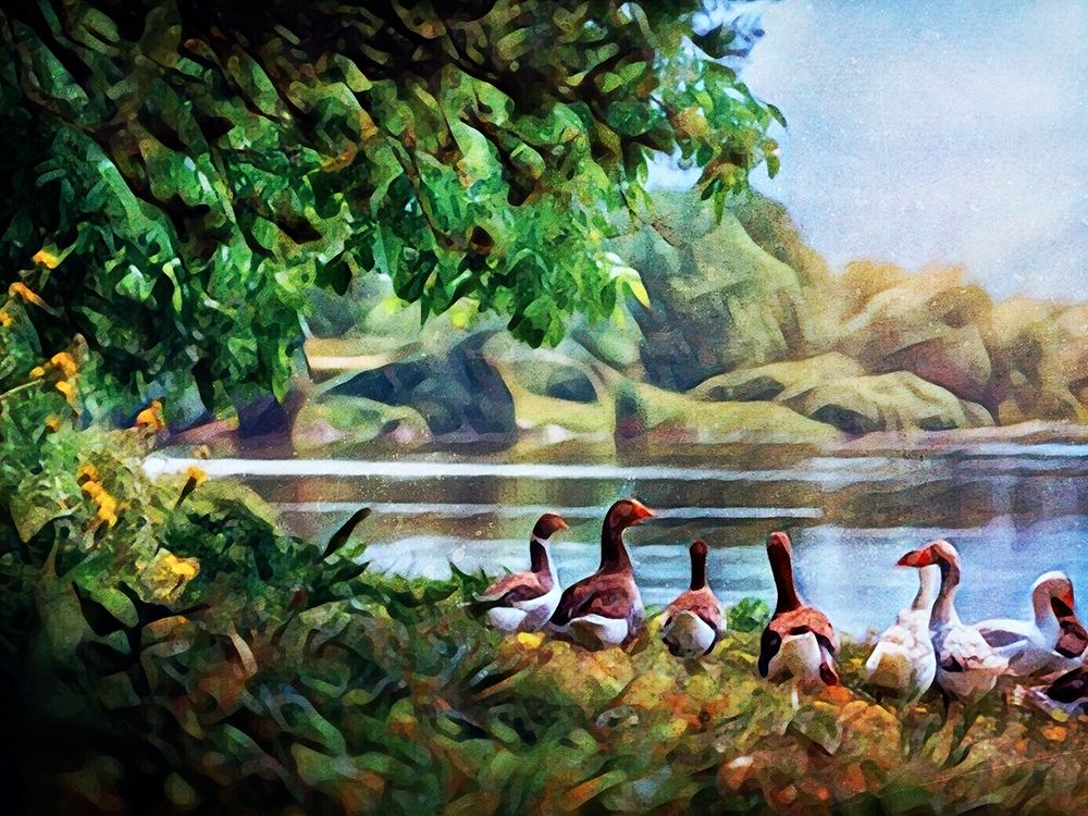 Gaggle of Geese art print by Ashley Aldridge for $57.95 CAD