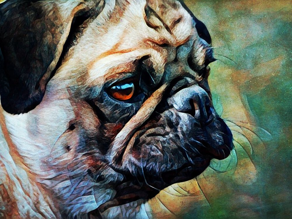 Fawn Pug Fascination art print by Ashley Aldridge for $57.95 CAD