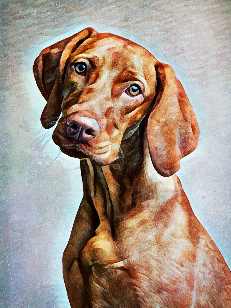 Hungarian Vizsla Adoration art print by Ashley Aldridge for $57.95 CAD