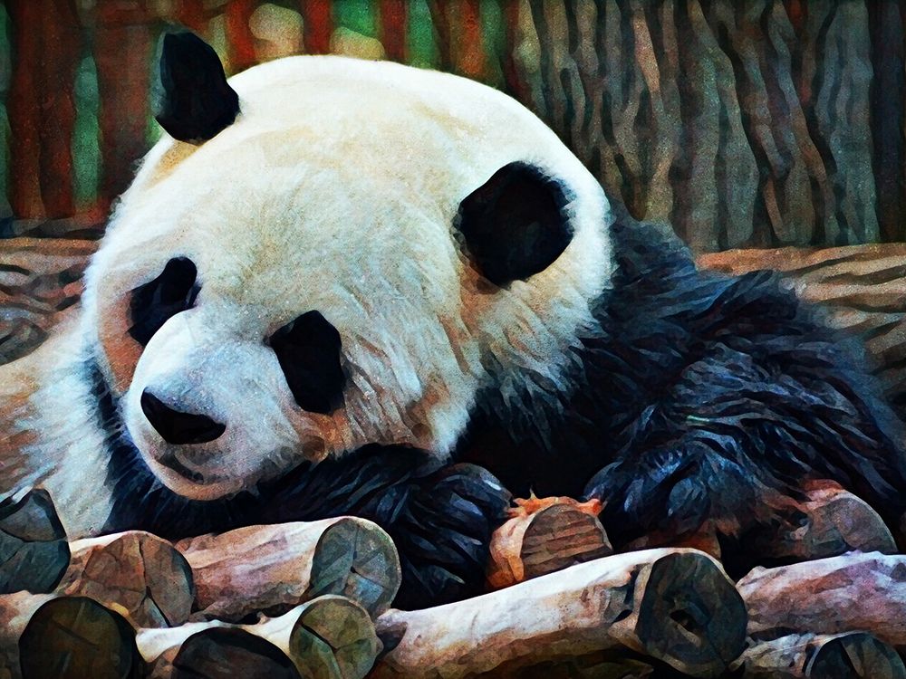 Giant Panda Snooze art print by Ashley Aldridge for $57.95 CAD