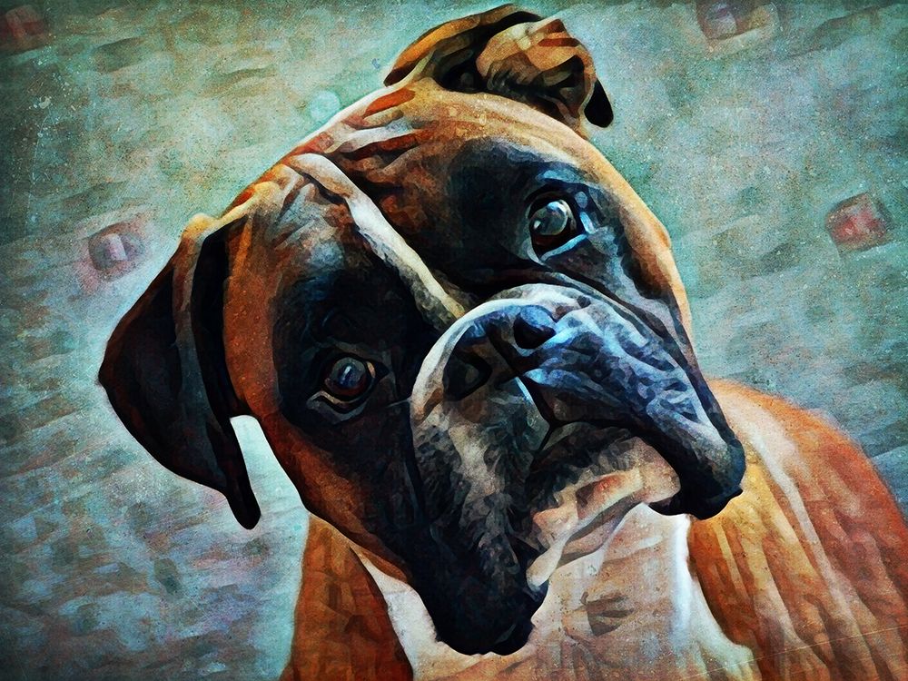 German Boxer Intrigue art print by Ashley Aldridge for $57.95 CAD
