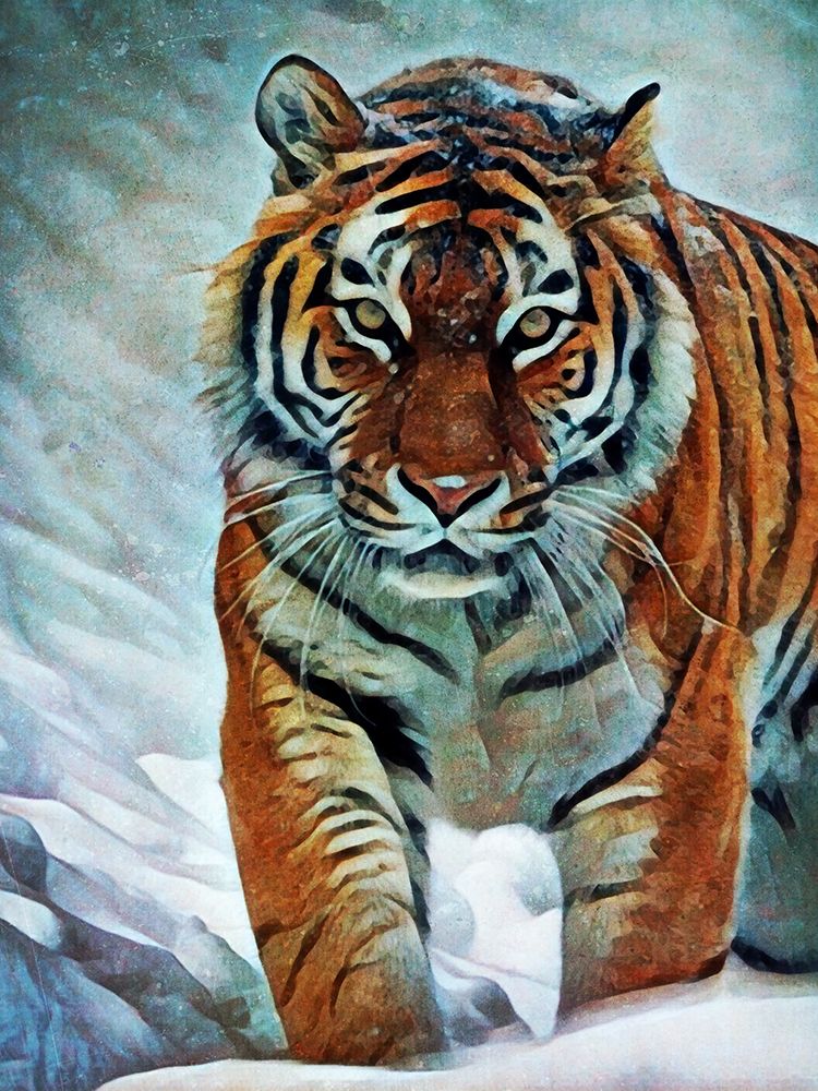 Siberian Tiger Stalking art print by Ashley Aldridge for $57.95 CAD