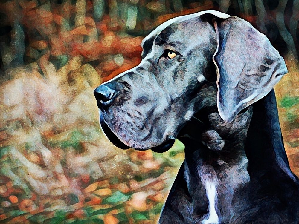 Great Dane Greatness art print by Ashley Aldridge for $57.95 CAD