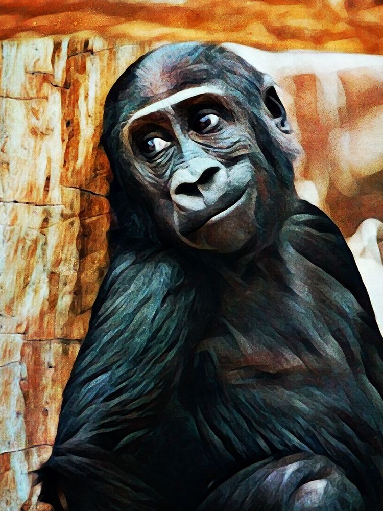 Baby Gorrilla Grin art print by Ashley Aldridge for $57.95 CAD