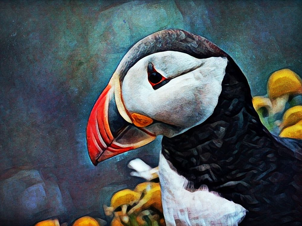 Atlantic Puffin Peculiar art print by Ashley Aldridge for $57.95 CAD
