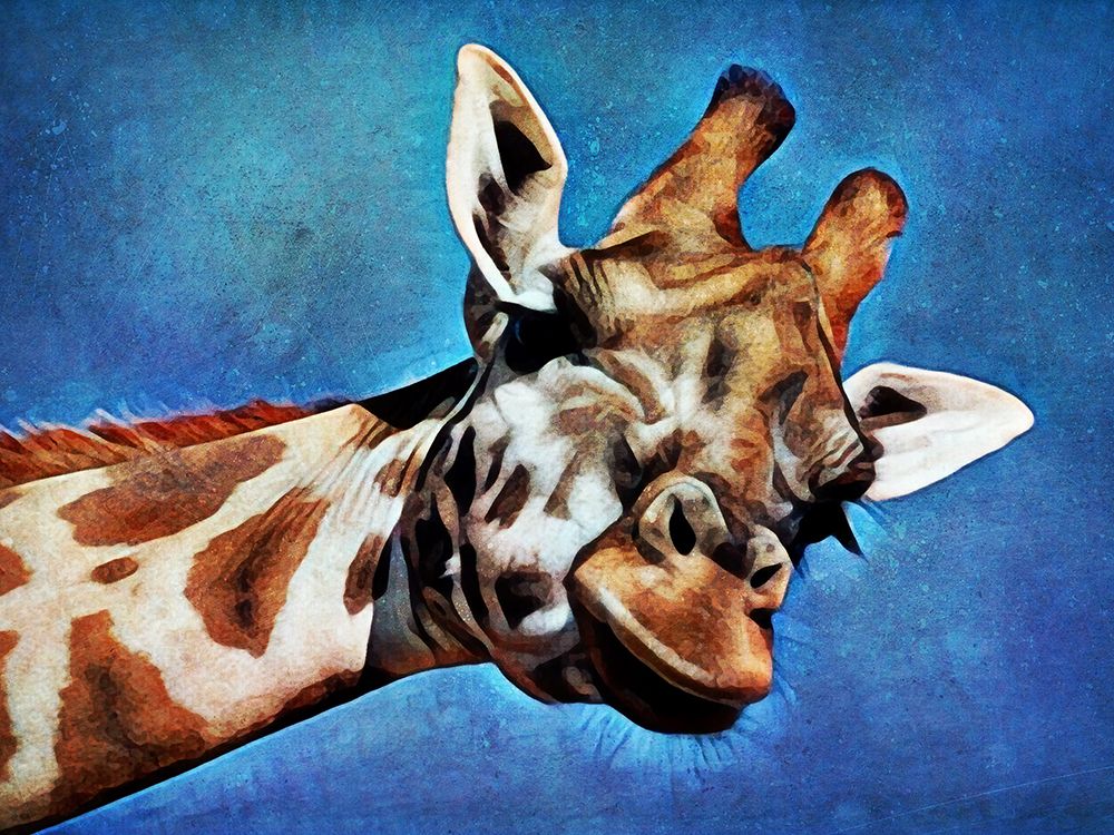 Giraffe High Blue Sky art print by Ashley Aldridge for $57.95 CAD