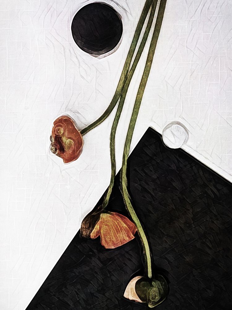 Modern Poppy Arrangement II art print by Ashley Aldridge for $57.95 CAD