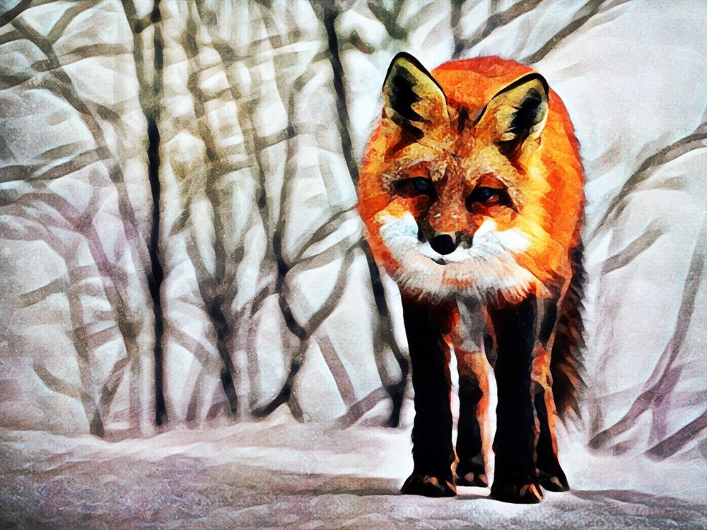 Red Fox Fascination art print by Ashley Aldridge for $57.95 CAD