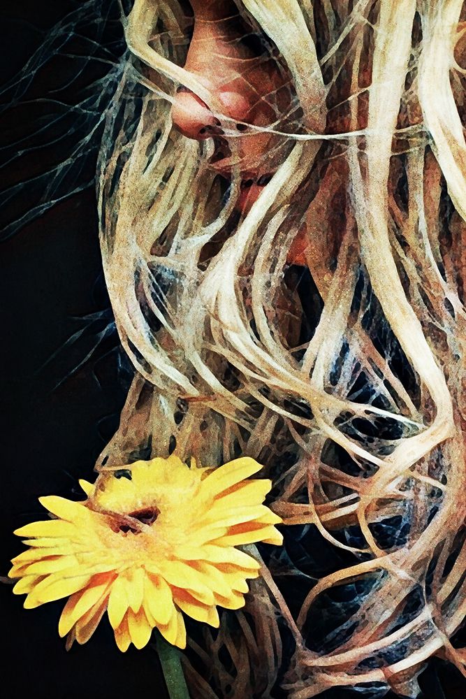 Golden Gerbera For Goldilocks art print by Ashley Aldridge for $57.95 CAD