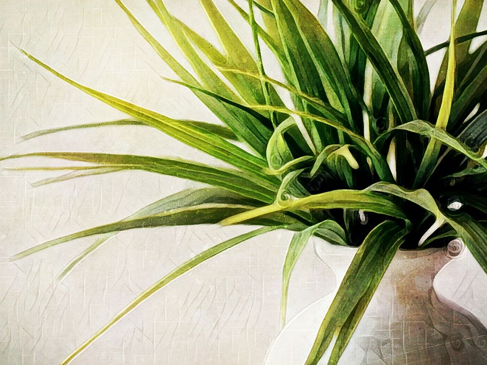 White Potted Plant art print by Ashley Aldridge for $57.95 CAD