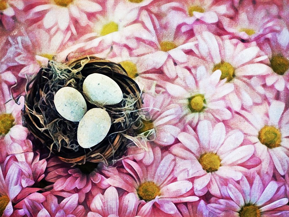 Nested On Daisies art print by Ashley Aldridge for $57.95 CAD