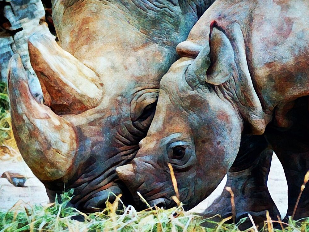 Rhinoceros and Calf Connection art print by Ashley Aldridge for $57.95 CAD