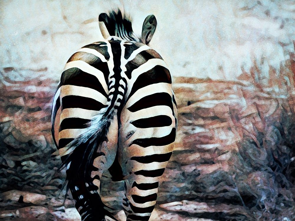 Zebra Butt Beautiful art print by Ashley Aldridge for $57.95 CAD