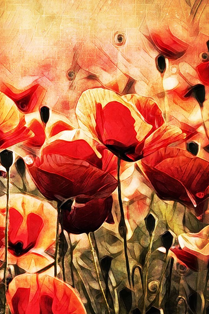 Poppy Fields In Focus II art print by Ashley Aldridge for $57.95 CAD