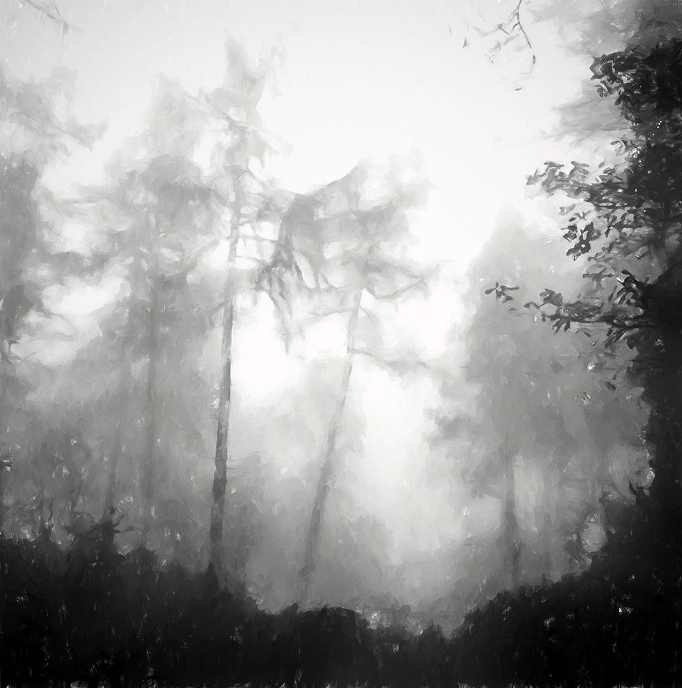 Otherworldly art print by Kim Curinga for $57.95 CAD