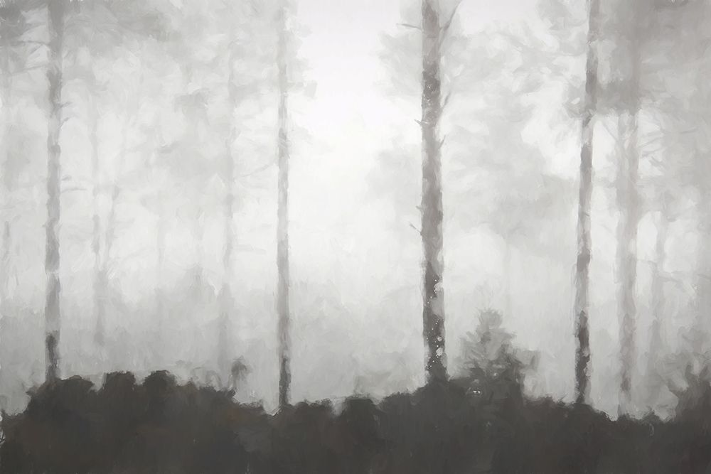 Barren art print by Kim Curinga for $57.95 CAD