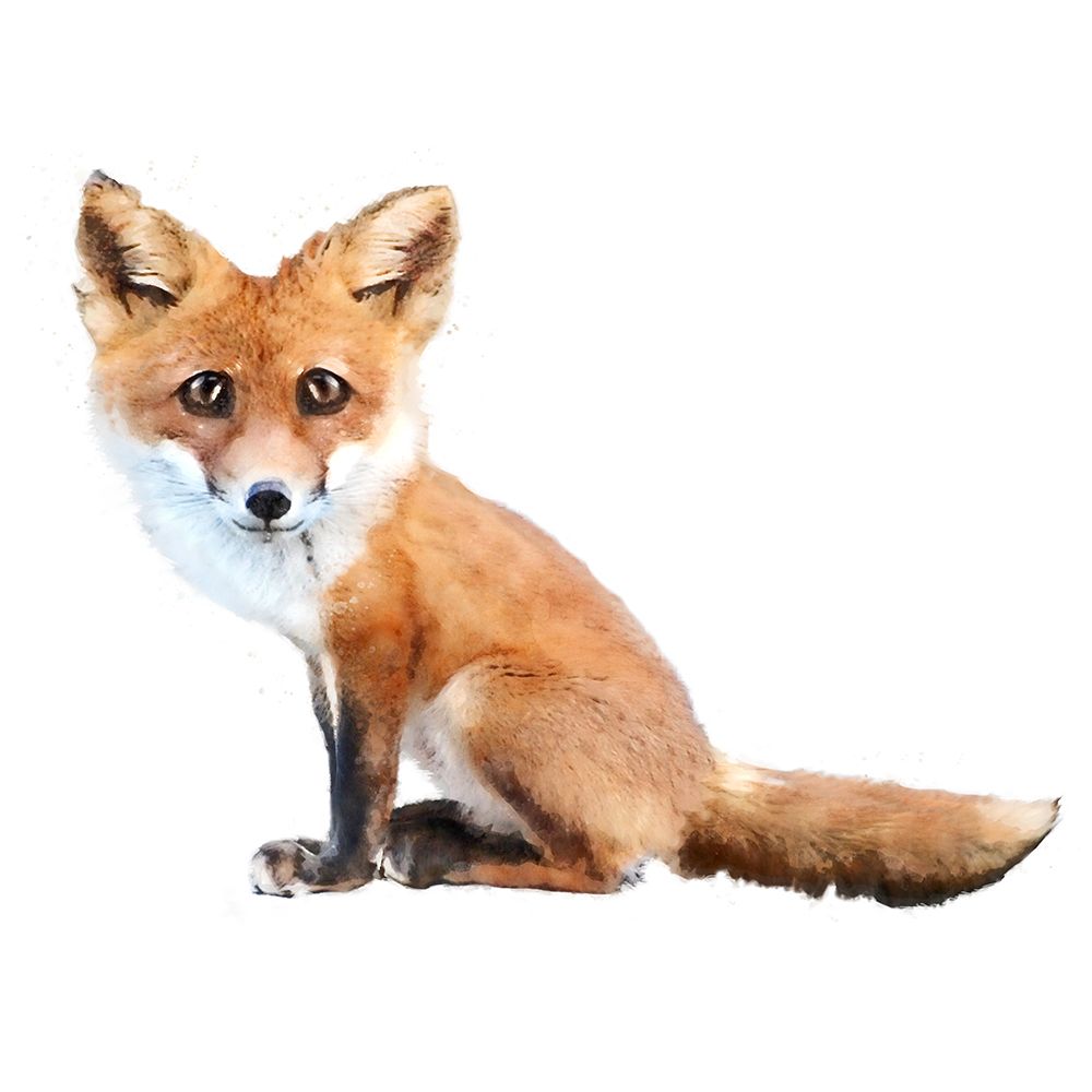 Foxy Baby art print by Kim Curinga for $57.95 CAD
