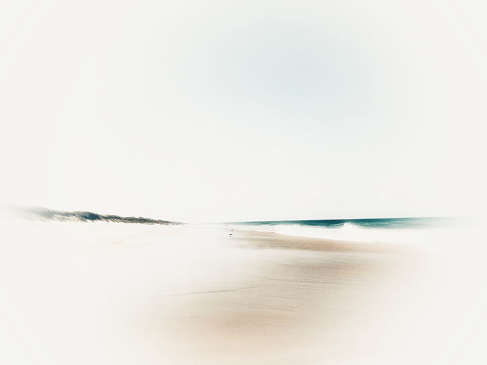 Bleached Beach III art print by Kim Curinga for $57.95 CAD