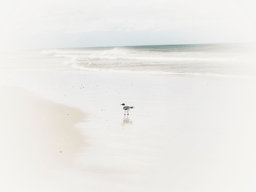 Bleached Bird art print by Kim Curinga for $57.95 CAD