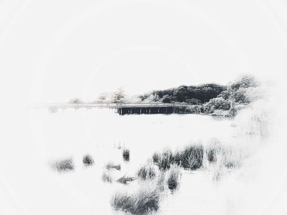 Bleached Marsh Grass art print by Kim Curinga for $57.95 CAD