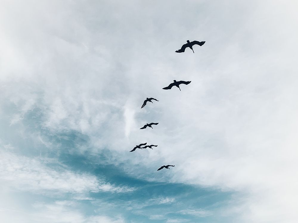 Beach Birds Flying art print by Kim Curinga for $57.95 CAD