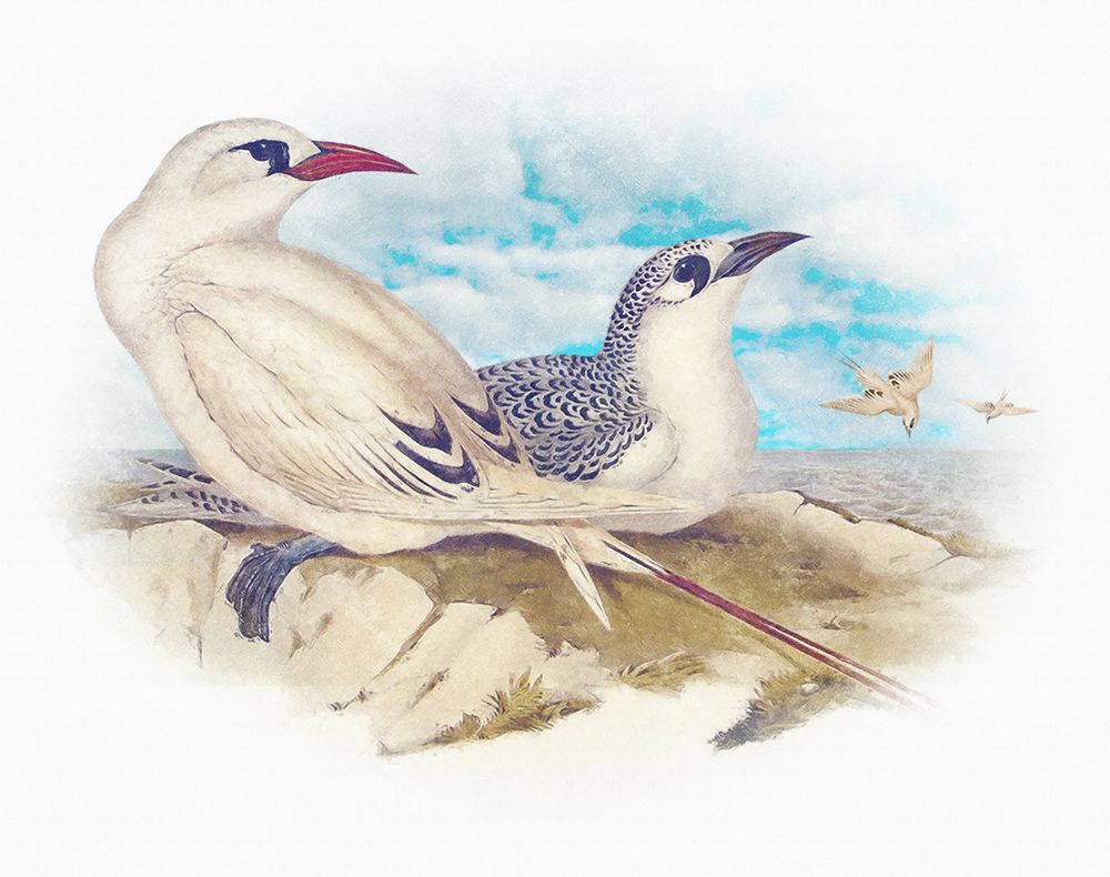 Sentimental Plumage I art print by Steve Hunziker for $57.95 CAD