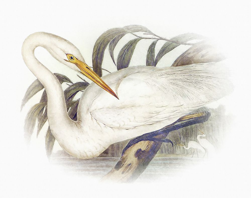 Sentimental Plumage II art print by Steve Hunziker for $57.95 CAD