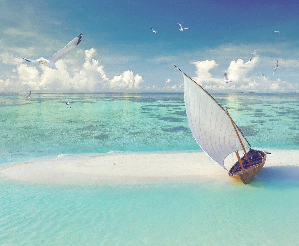 Tropical Shangrila III art print by Steve Hunziker for $57.95 CAD