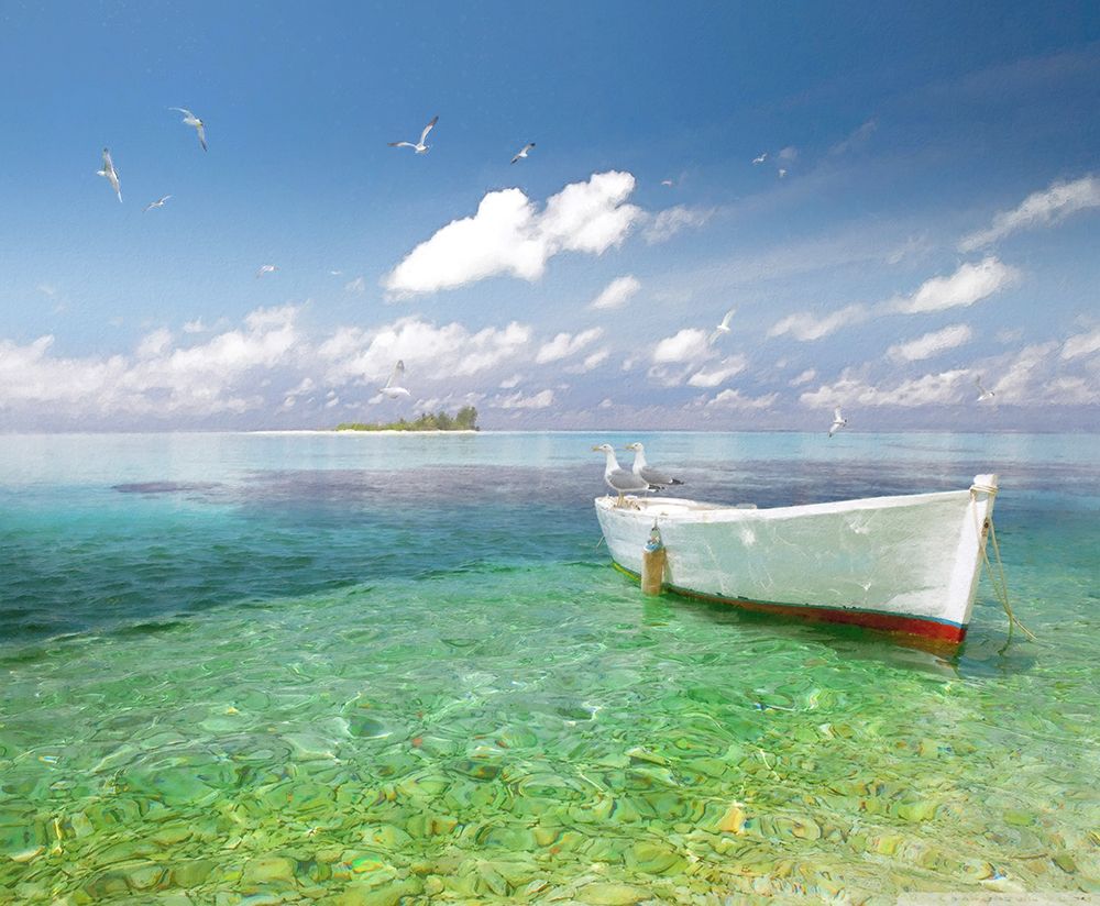 Tropical Shangrila IV art print by Steve Hunziker for $57.95 CAD