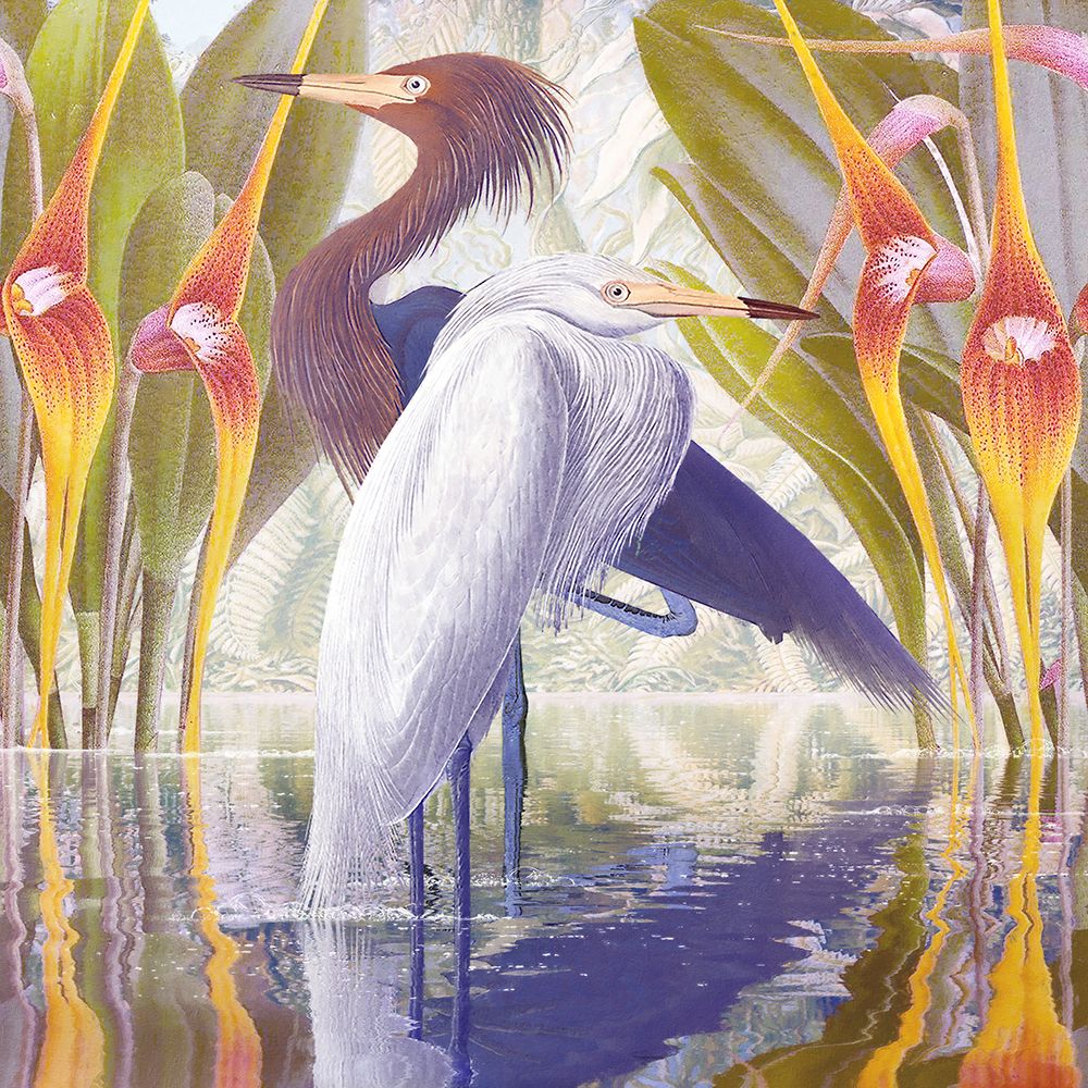 Water Walkers IV art print by Steve Hunziker for $57.95 CAD