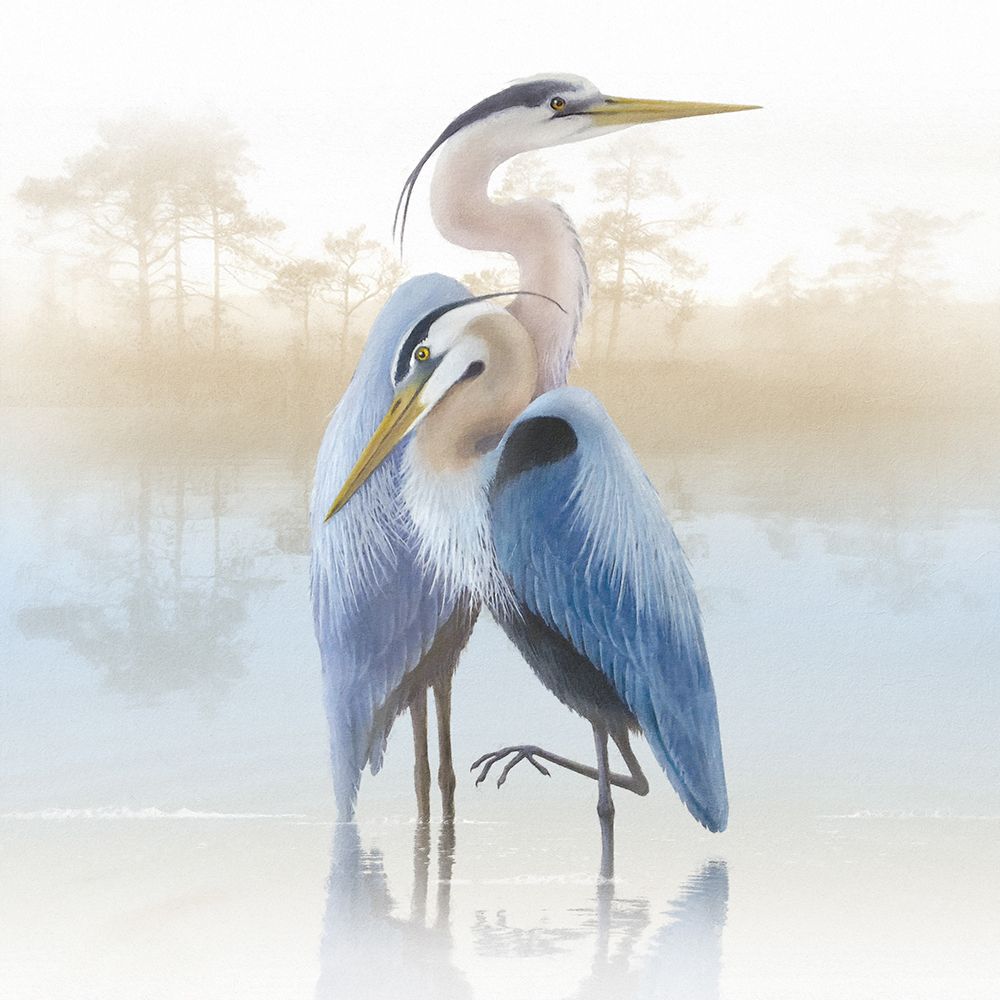 Misty Plumage II art print by Steve Hunziker for $57.95 CAD